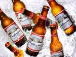 Anheuser-Busch InBev открывает первую пивоварню на растущем вьетнамском рынке