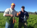 Морковное пиво выпустили в Австралии