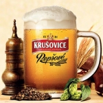 Перечное пиво от пивоварни Krusovice