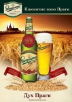 «САН ИнБев Украина» начинает выпуск пива Staropramen Wheat