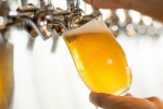 В Бельгии произвели первое в мире полностью безалкогольное пиво.