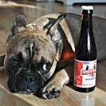 В Великобритании на рынок выходит пиво для собак.